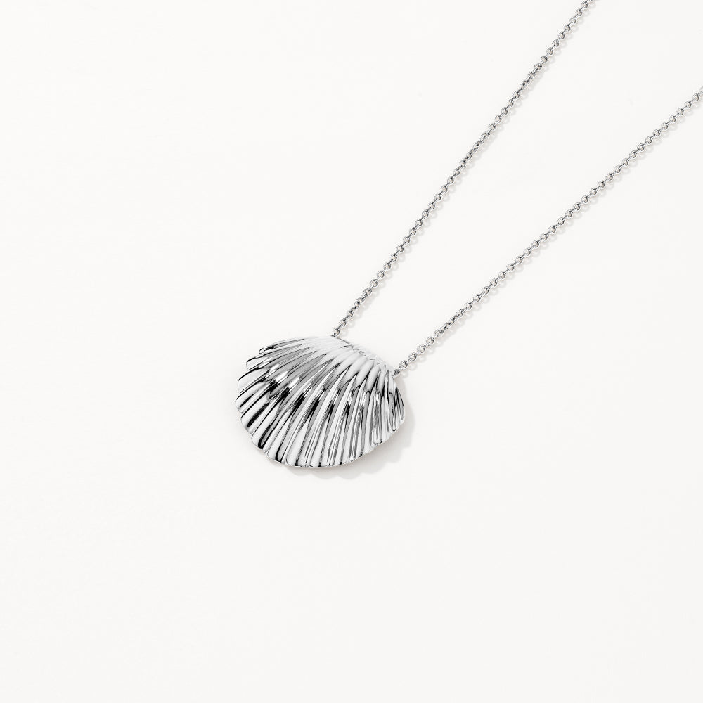 Shell Necklace
