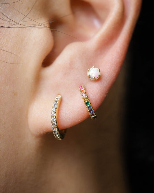 Rainbow Hoop Earrings